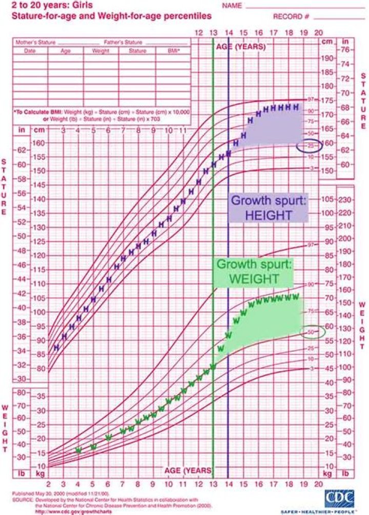Chris Christie's Height And Its Impact